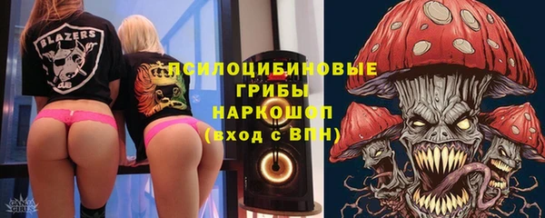 дживик Балахна