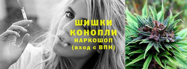дживик Балахна