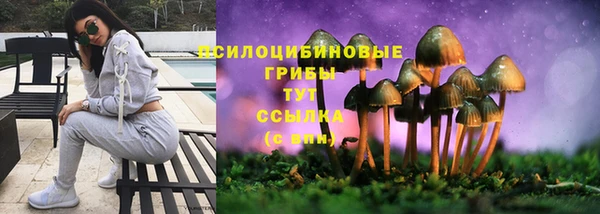 дживик Балахна