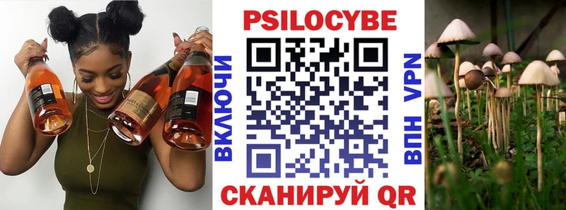гидра ссылка  Петушки  Галлюциногенные грибы GOLDEN TEACHER 