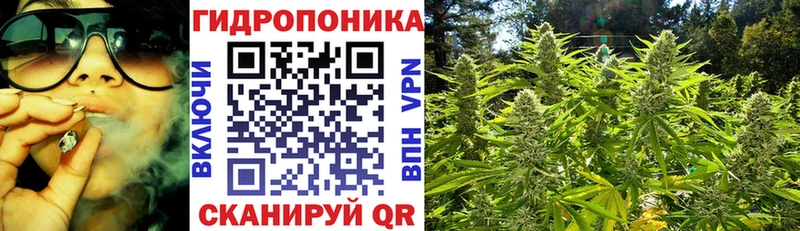 Марихуана SATIVA & INDICA  продажа наркотиков  Петушки 